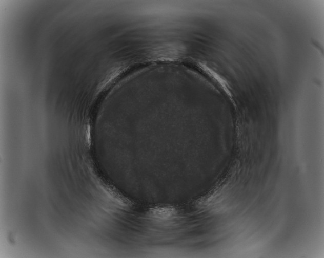 X0000097800067200804041323