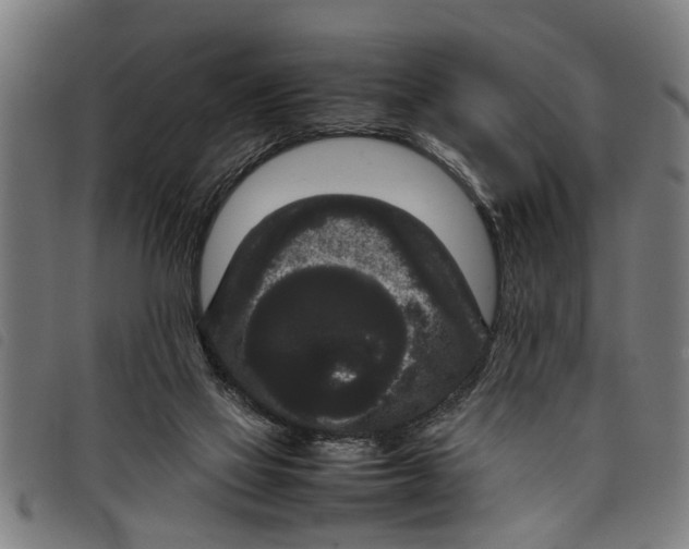 X0000097800069200804041323