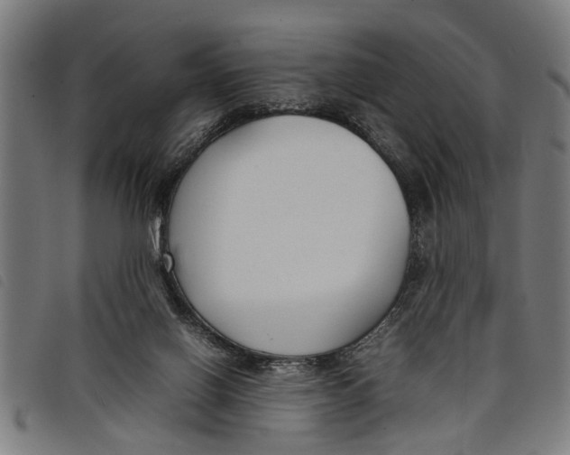 X0000097800070200804041324