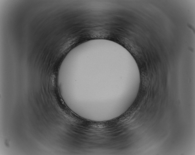 X0000097800071200804041324