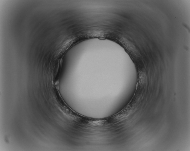 X0000097800072200804041324