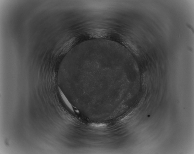 X0000097800073200804041324