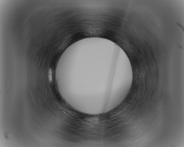 X0000097800075200804041324