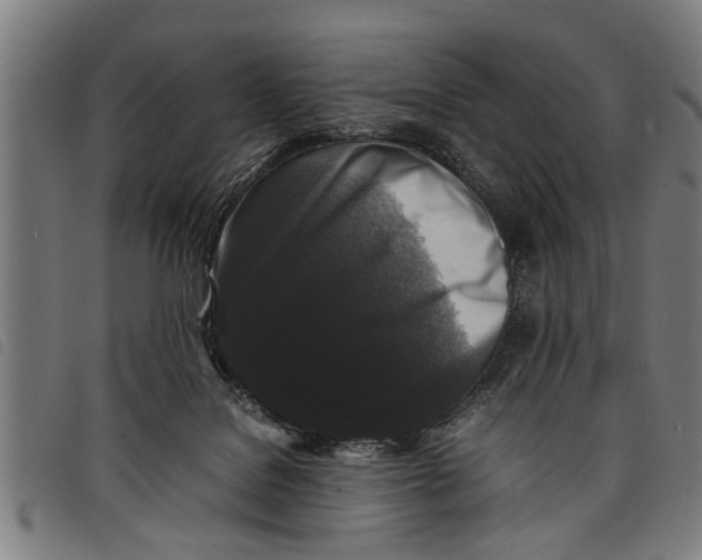 X0000097800076200804041324