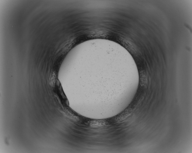 X0000097800077200804041324