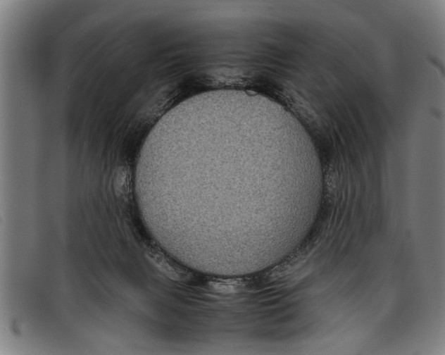 X0000097800079200804041324