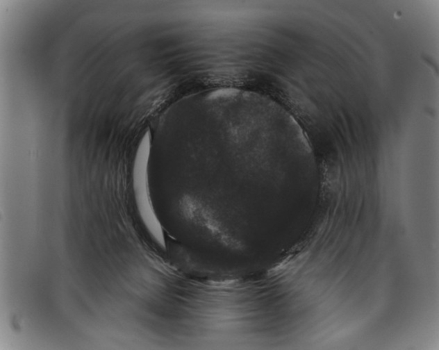 X0000097800080200804041324