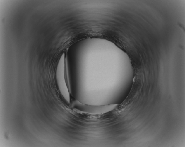 X0000097800084200804041324