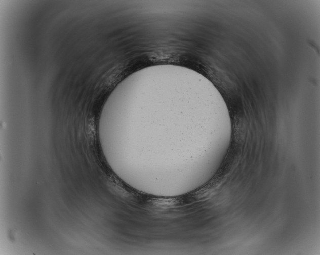 X0000097800085200804041324