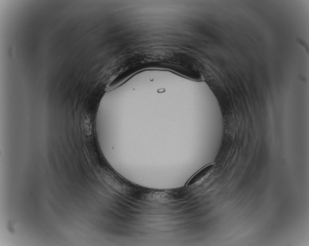 X0000097800086200804041324