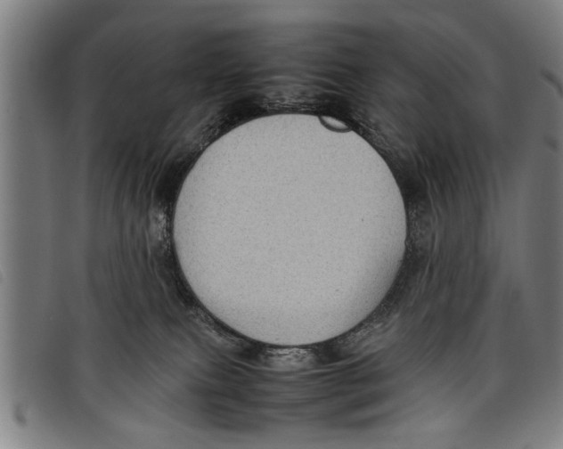 X0000097800087200804041324