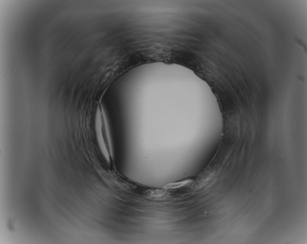 X0000097800088200804041324