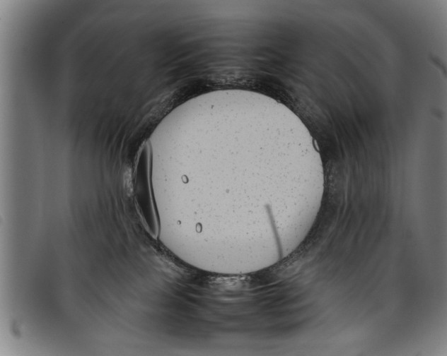 X0000097800089200804041324