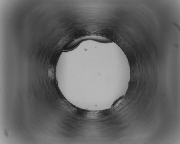 X0000097800090200804041324