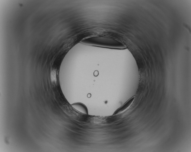 X0000097800094200804041324