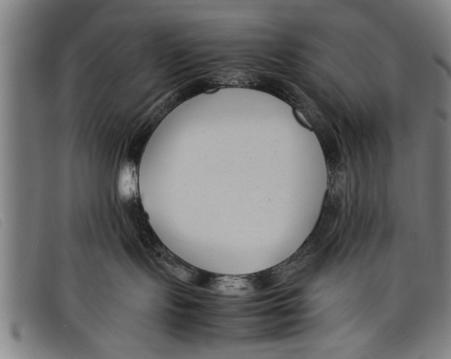 X0000097800095200804041324