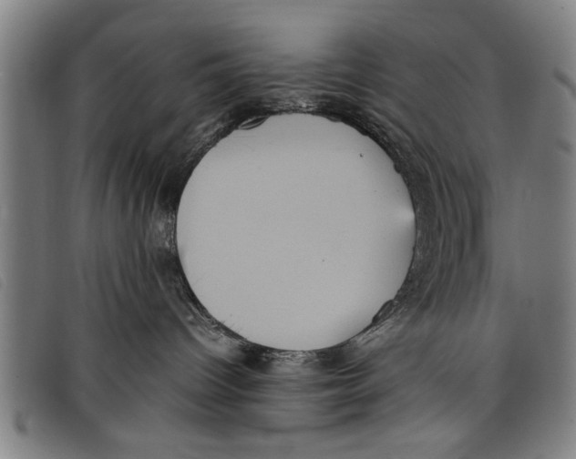 X0000097800096200804041324