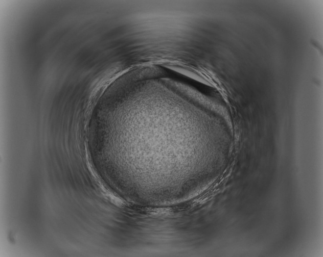 X0000097800097200804041323