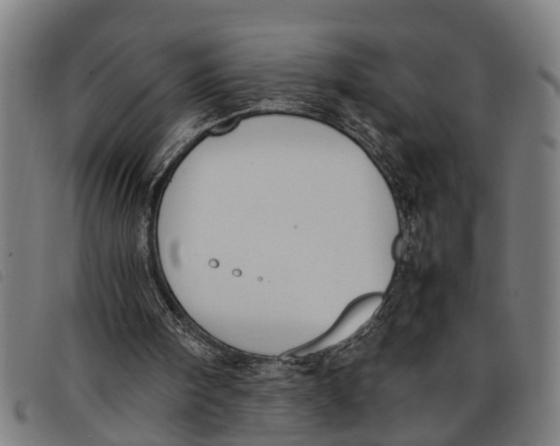 X0000097800098200804041323