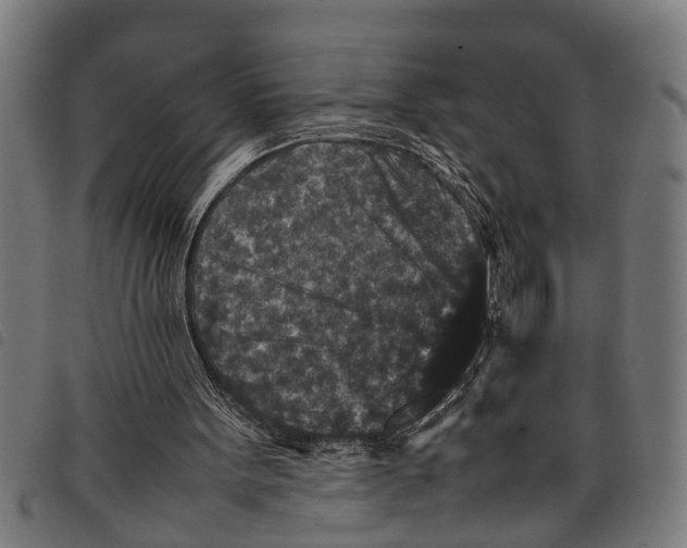 X0000097800099200804041323