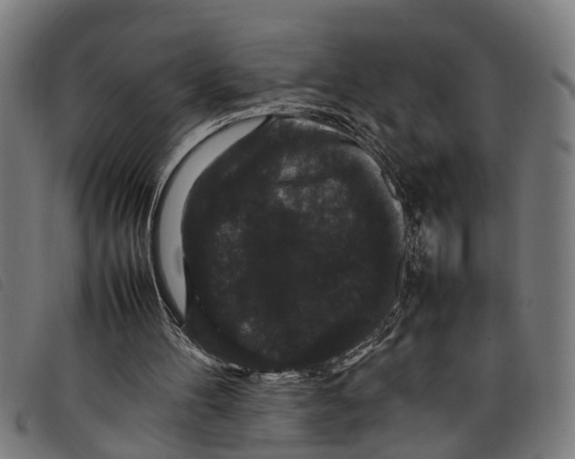 X0000097800100200804041323