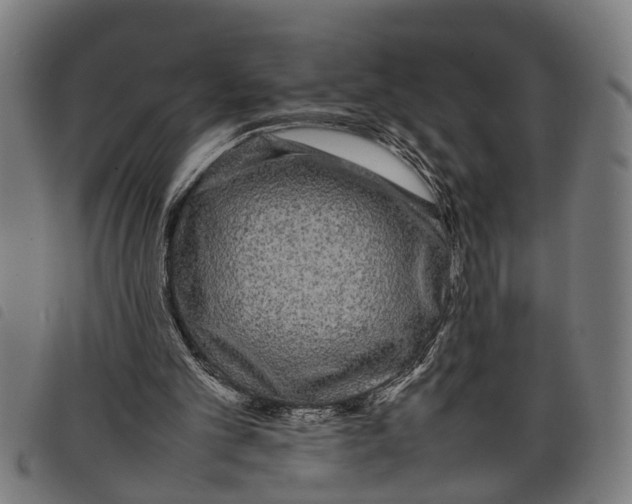 X0000097800101200804041323