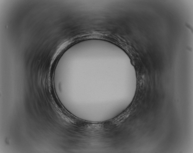 X0000097800102200804041323