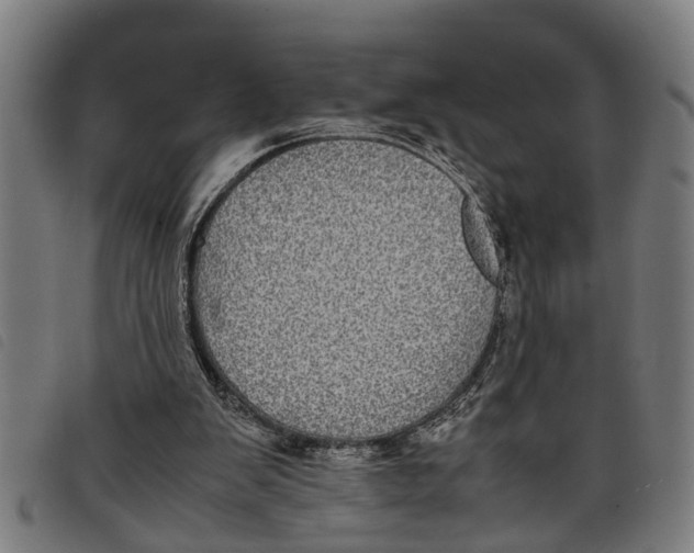 X0000097800103200804041323