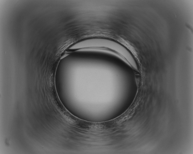 X0000097800105200804041323