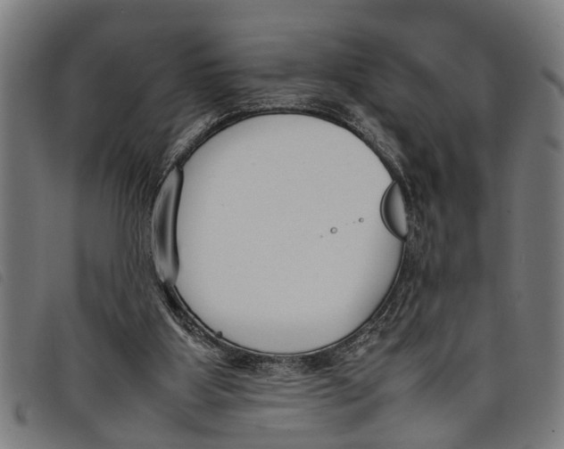 X0000097800107200804041323