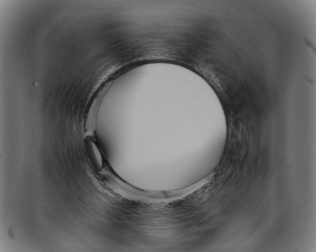 X0000097800108200804041323