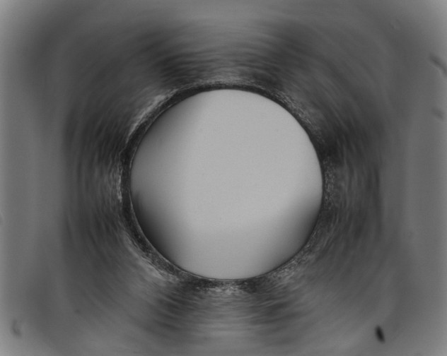 X0000097800112200804041323