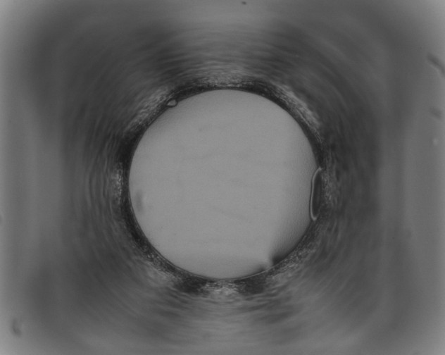 X0000097800113200804041323