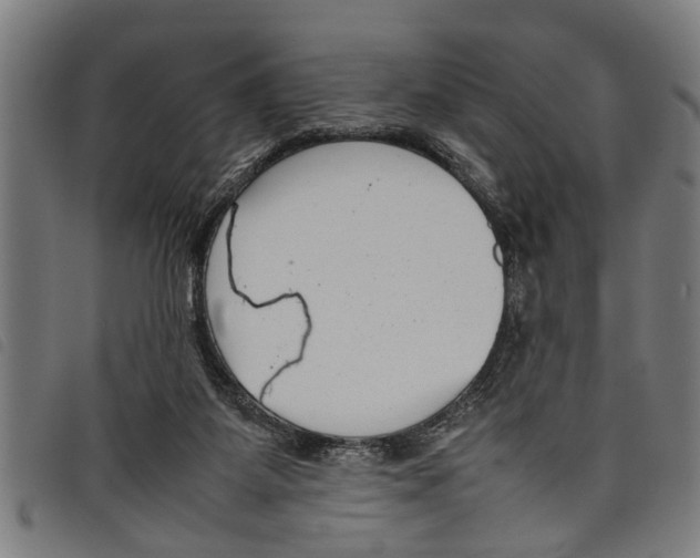 X0000097800115200804041323