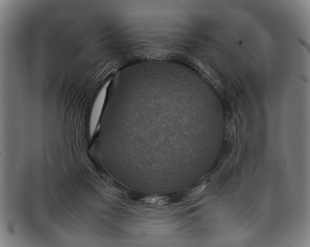 X0000097800117200804041323