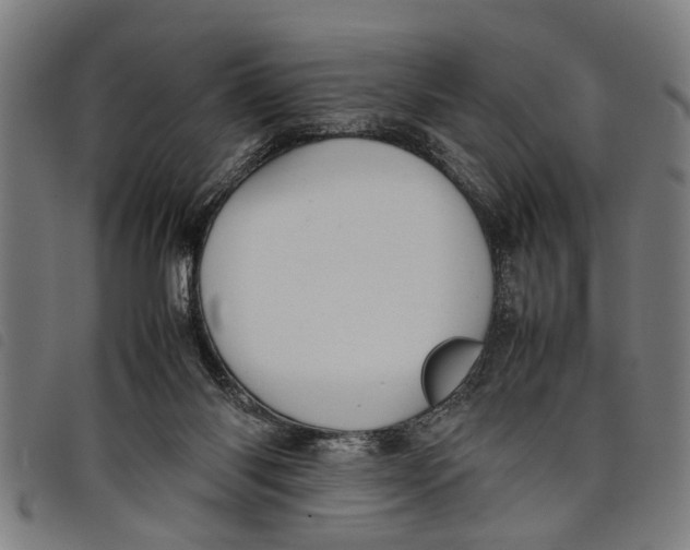 X0000097800118200804041323