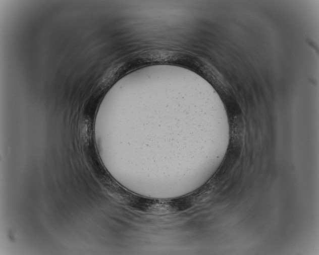 X0000097800119200804041323