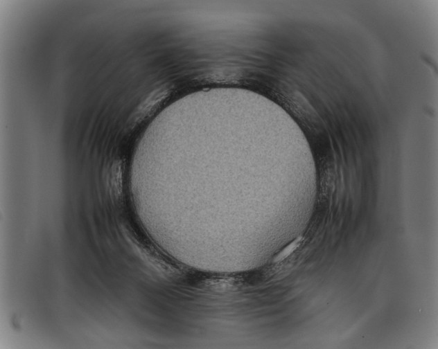 X0000097800120200804041323