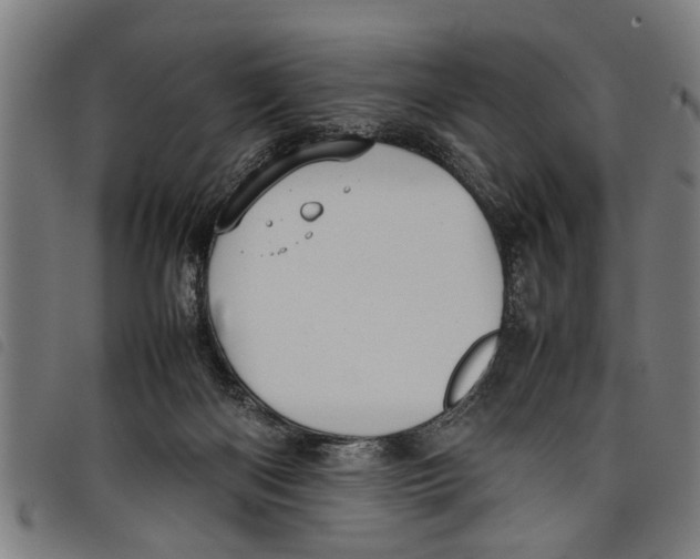 X0000097800122200804041323