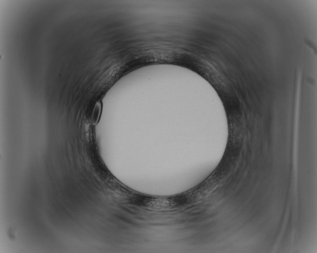 X0000097800123200804041323