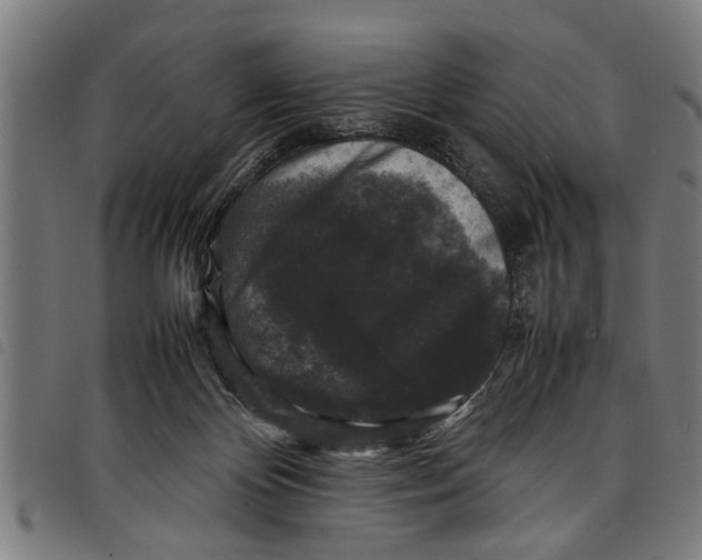 X0000097800124200804041323