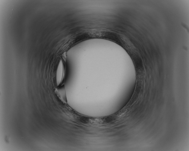 X0000097800125200804041323