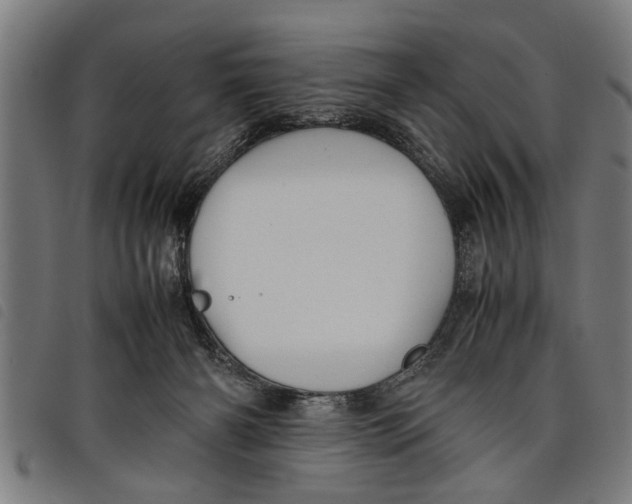 X0000097800126200804041323