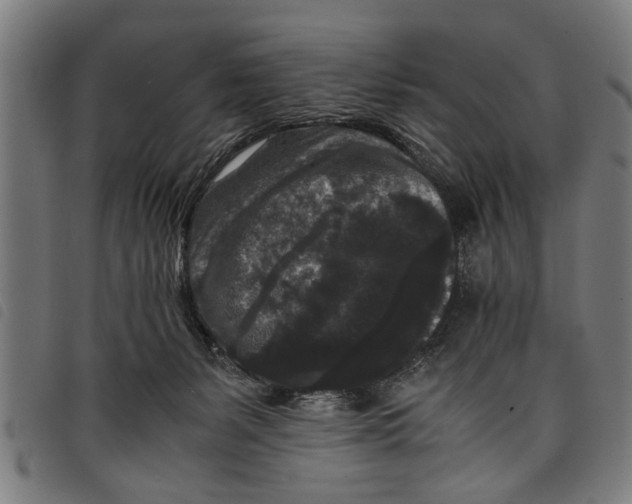 X0000097800127200804041323