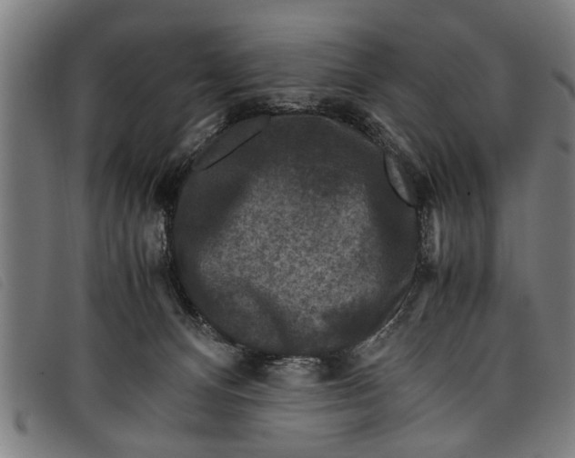 X0000097800128200804041323