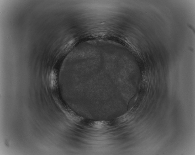 X0000097800130200804041323