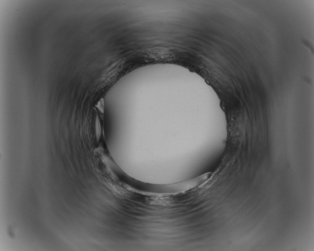 X0000097800132200804041323