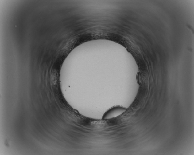 X0000097800133200804041323