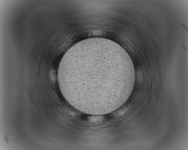 X0000097800135200804041323