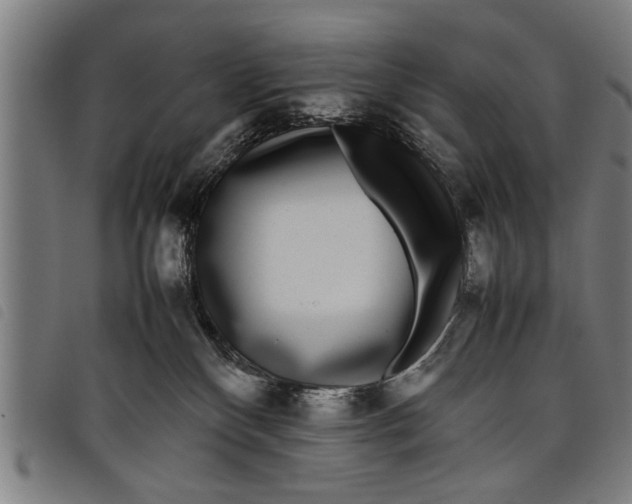 X0000097800136200804041322